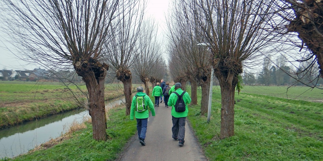 Wandeltraining of wandeling Sportief Wandelgroep Zoetermeer